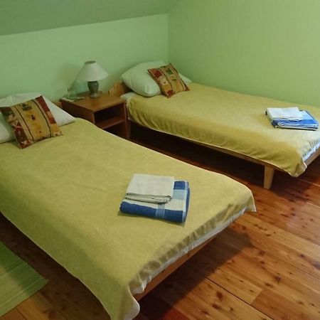 Apartment Kostolic Gajic Экстерьер фото